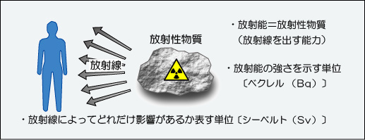 放射能と放射線